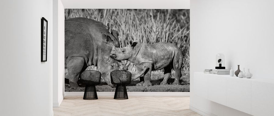 PHOTOWALL / Vulnerable - Monochrome (e321757)