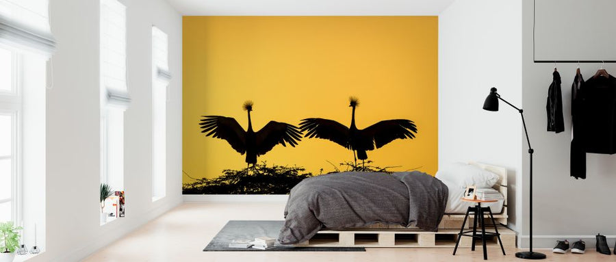 PHOTOWALL / Sun Salutation (e321764)