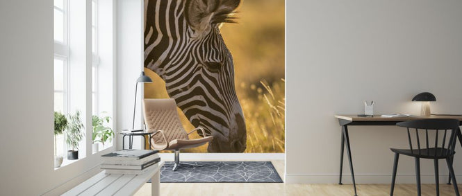 PHOTOWALL / Grazer (e321766)