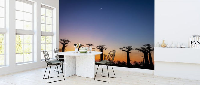 PHOTOWALL / Baobab Avenue (e321772)