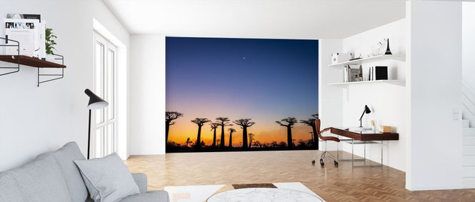 PHOTOWALL / Baobab Avenue (e321772)