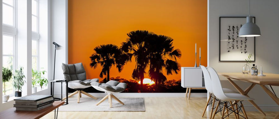 PHOTOWALL / Tropics (e321782)
