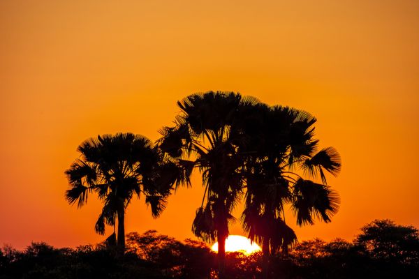 PHOTOWALL / Tropics (e321782)