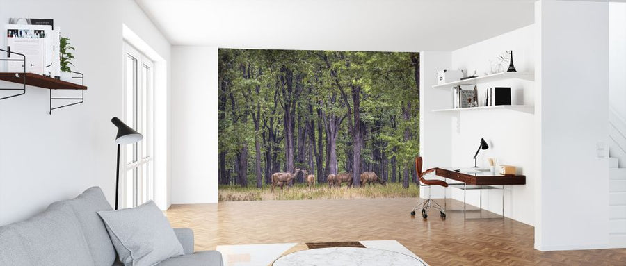 PHOTOWALL / Kudu Company (e321786)