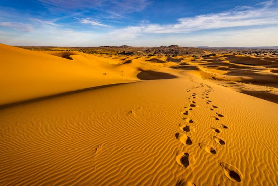 PHOTOWALL / Desert Dunes IIII (e321806)
