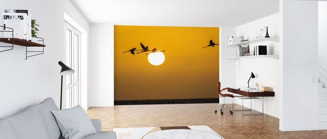PHOTOWALL / Flamingo Flight (e321808)