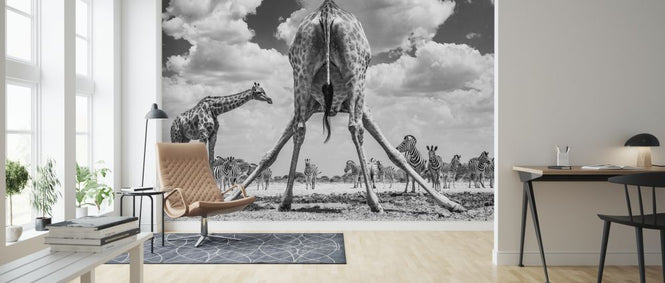 PHOTOWALL / Spread&#039;em - Monochrome (e321817)