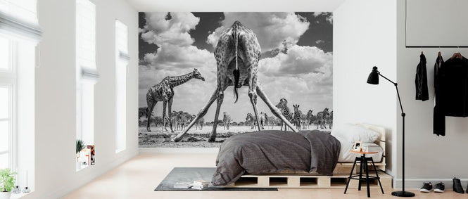 PHOTOWALL / Spread&#039;em - Monochrome (e321817)
