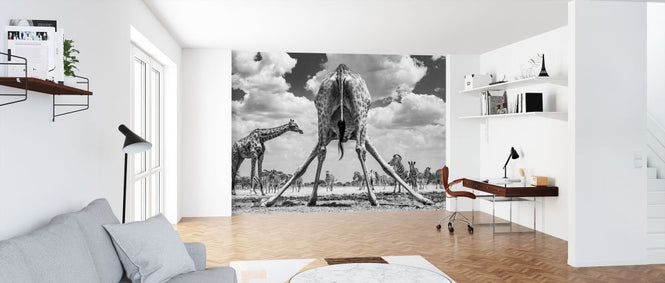 PHOTOWALL / Spread&#039;em - Monochrome (e321817)
