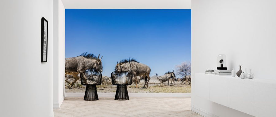 PHOTOWALL / Waterhole V (e321819)