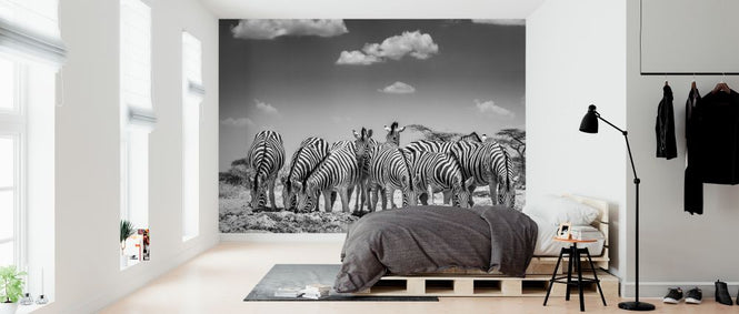 PHOTOWALL / Zebra dazzle (e321821)