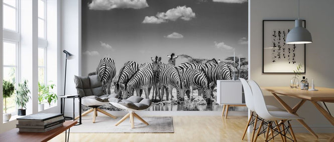 PHOTOWALL / Zebra dazzle (e321821)