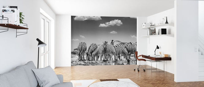 PHOTOWALL / Zebra dazzle (e321821)
