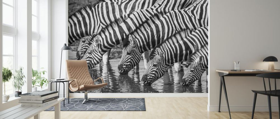 PHOTOWALL / Zebra dazzle II (e321825)