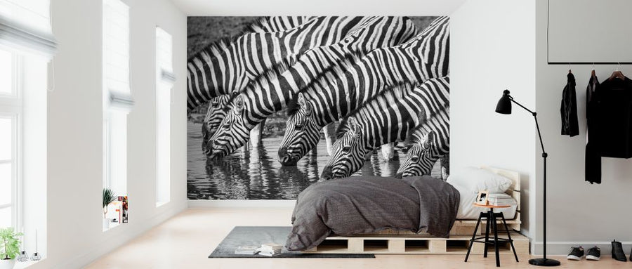 PHOTOWALL / Zebra dazzle II (e321825)