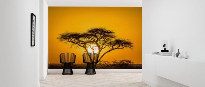 PHOTOWALL / Sunset (e321829)