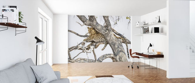 PHOTOWALL / Treebound (e321831)
