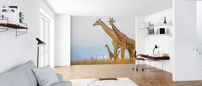 PHOTOWALL / Hilltop (e321836)