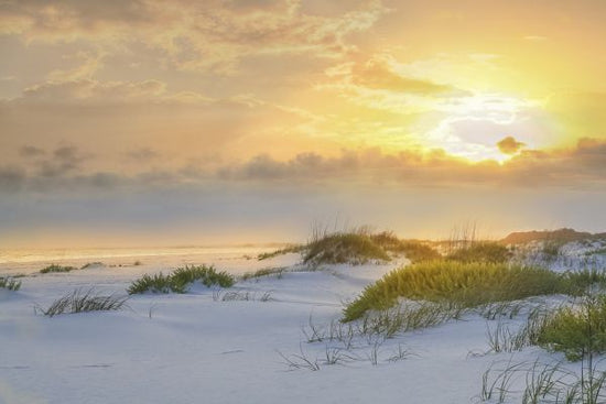 PHOTOWALL / Beach Sand and Sunset (e321647)