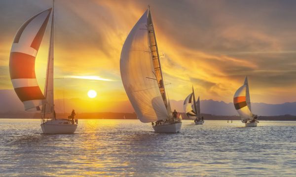 PHOTOWALL / Sail Under the Sunset (e321651)
