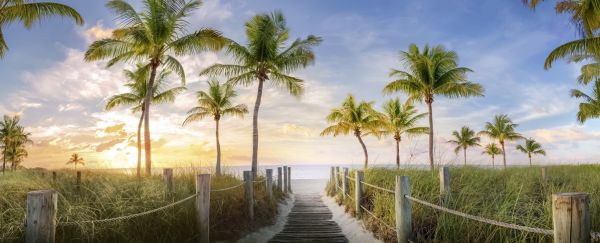 PHOTOWALL / Footbridge to the Beach (e321652)