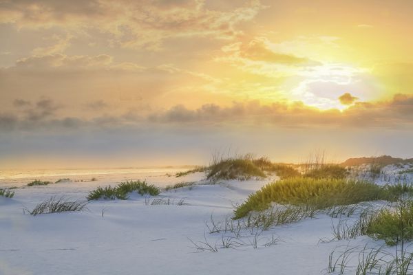 PHOTOWALL / Grass and Sand under the Sun (e321653)