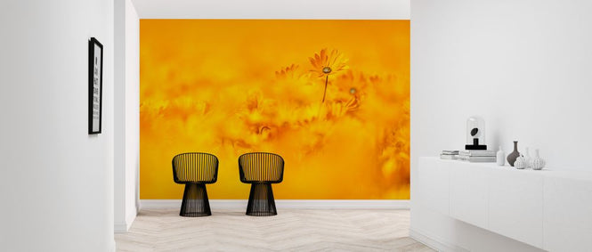 PHOTOWALL / Flower Fields III (e321846)