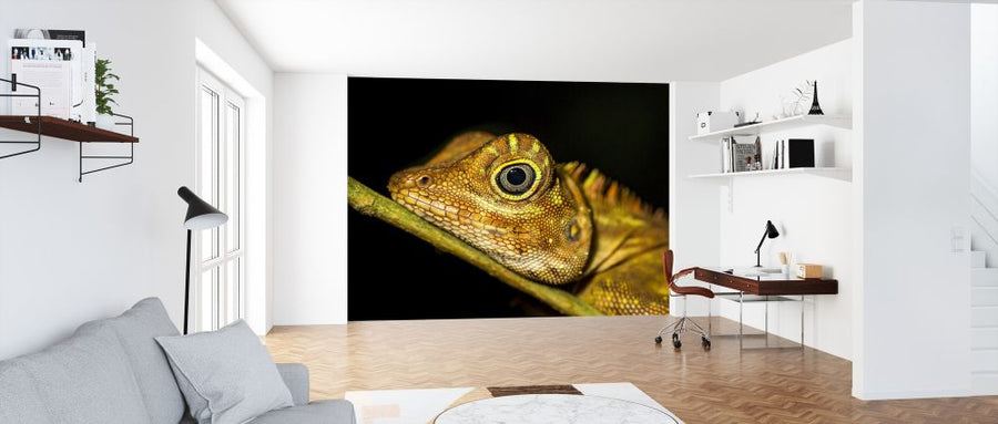 PHOTOWALL / Lizard Life (e321849)