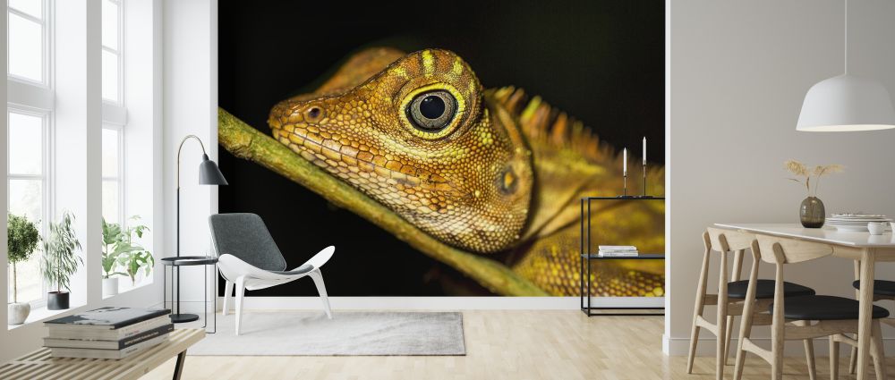 PHOTOWALL / Lizard Life (e321849) | 輸入壁紙専門店 WALPA – WALPA.jp