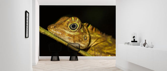 PHOTOWALL / Lizard Life (e321849)