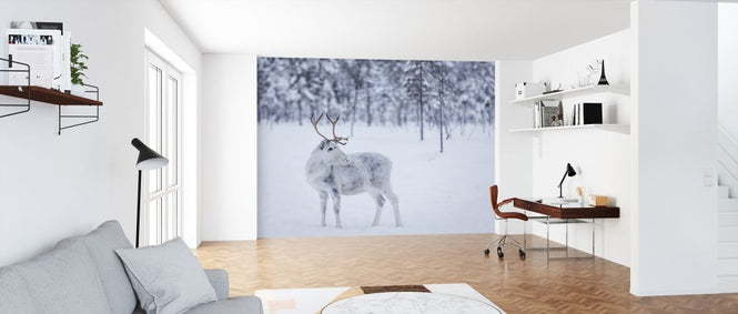 PHOTOWALL / Reindeer II (e321855)
