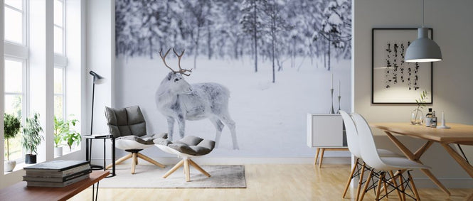 PHOTOWALL / Reindeer II (e321855)