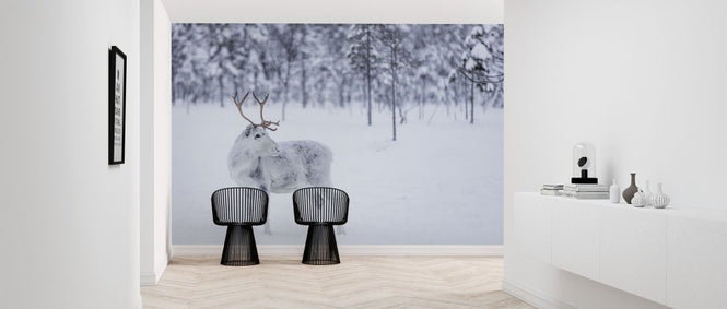 PHOTOWALL / Reindeer II (e321855)