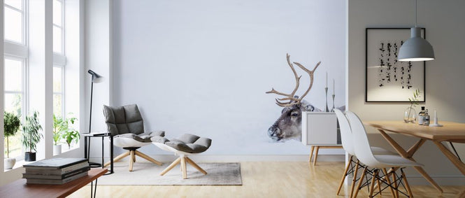 PHOTOWALL / Reindeer (e321854)