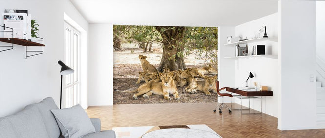 PHOTOWALL / Brief (e321860)