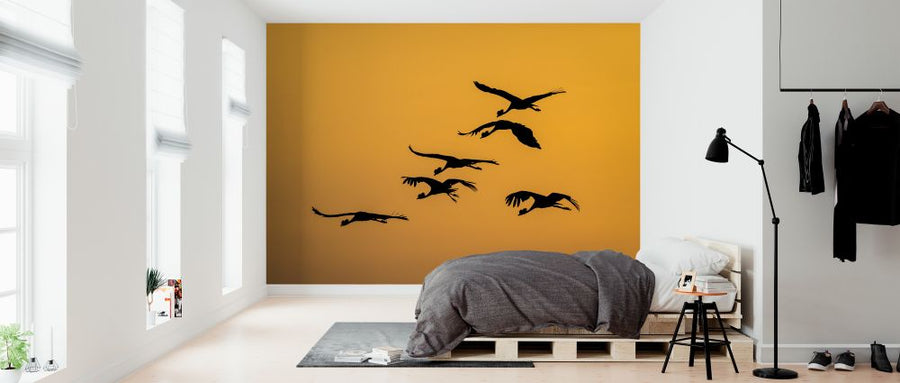 PHOTOWALL / Flight of the Cranes II (e321869)