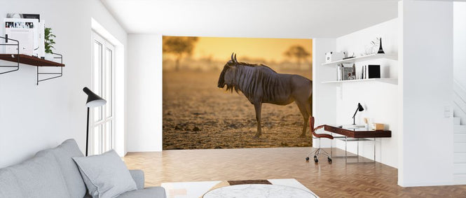 PHOTOWALL / Wildebeest (e321870)