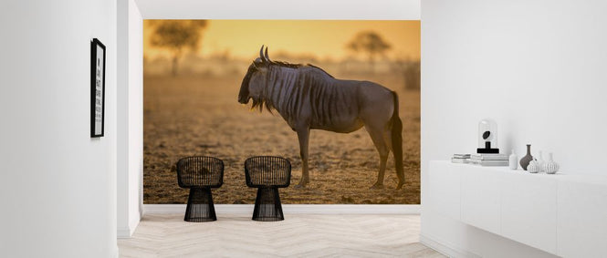 PHOTOWALL / Wildebeest (e321870)