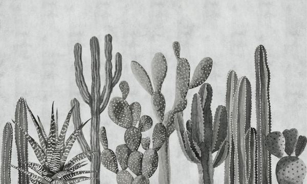 PHOTOWALL / Atacama Cactus - Bw (e321672)