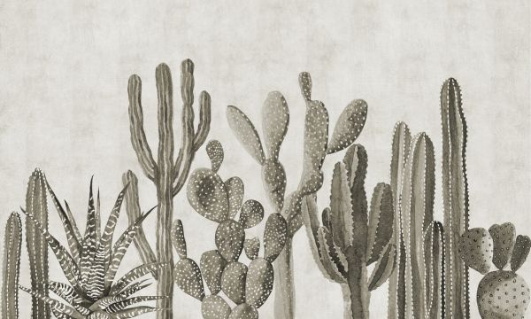 PHOTOWALL / Atacama Cactus - Sepia (e321673)