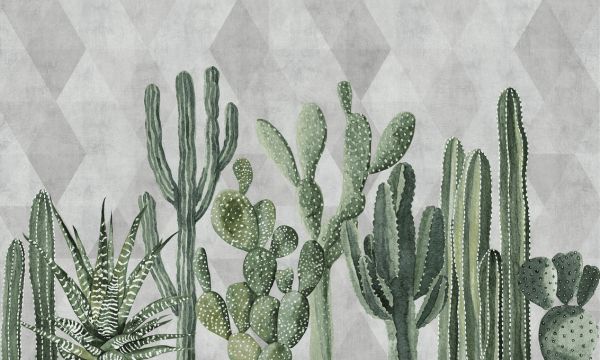 PHOTOWALL / Atacama Cactus II (e321674)