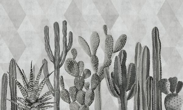 PHOTOWALL / Atacama Cactus II - Bw (e321675)