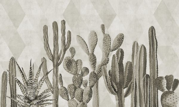 PHOTOWALL / Atacama Cactus II - Sepia (e321676)