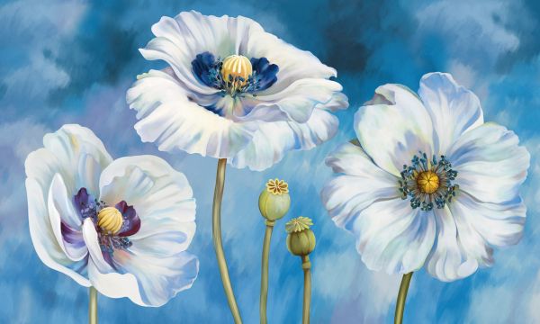 PHOTOWALL / White Poppies (e321933)