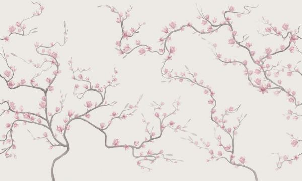 PHOTOWALL / Flourishing Magnolia - Natur (e322730)