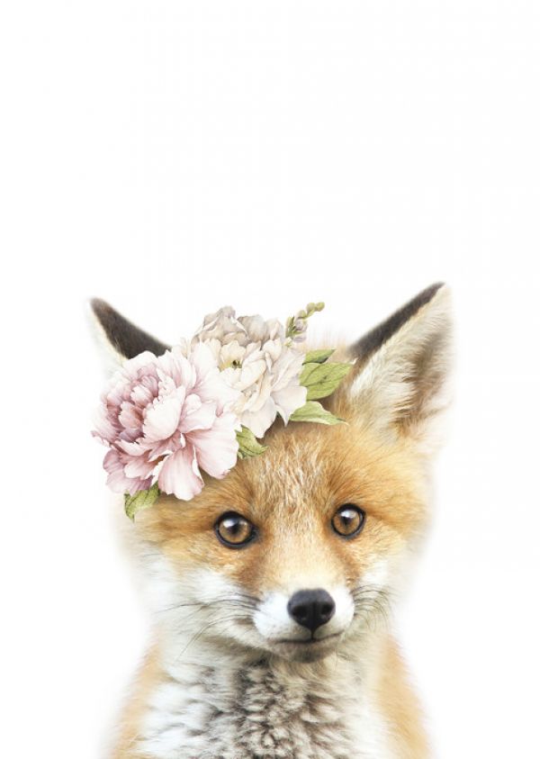PHOTOWALL / Floral Fox (e322228)
