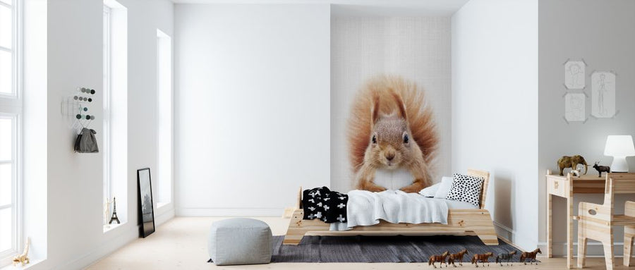 PHOTOWALL / Squirrel (e322749)