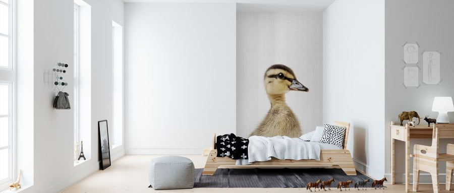 PHOTOWALL / Duckling (e322750)