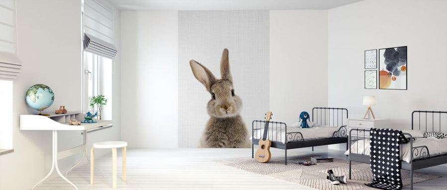 PHOTOWALL / Bunny Rabbit (e322753)