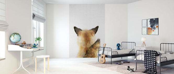 PHOTOWALL / Baby Fox Tail (e322754)